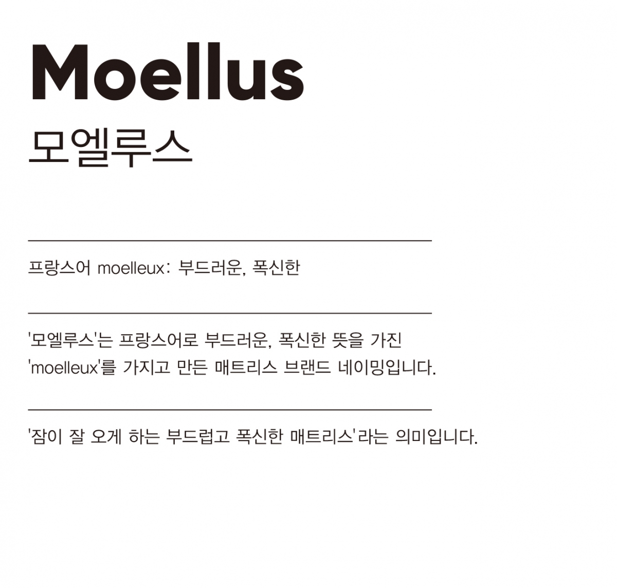 moellus_NAME.jpg